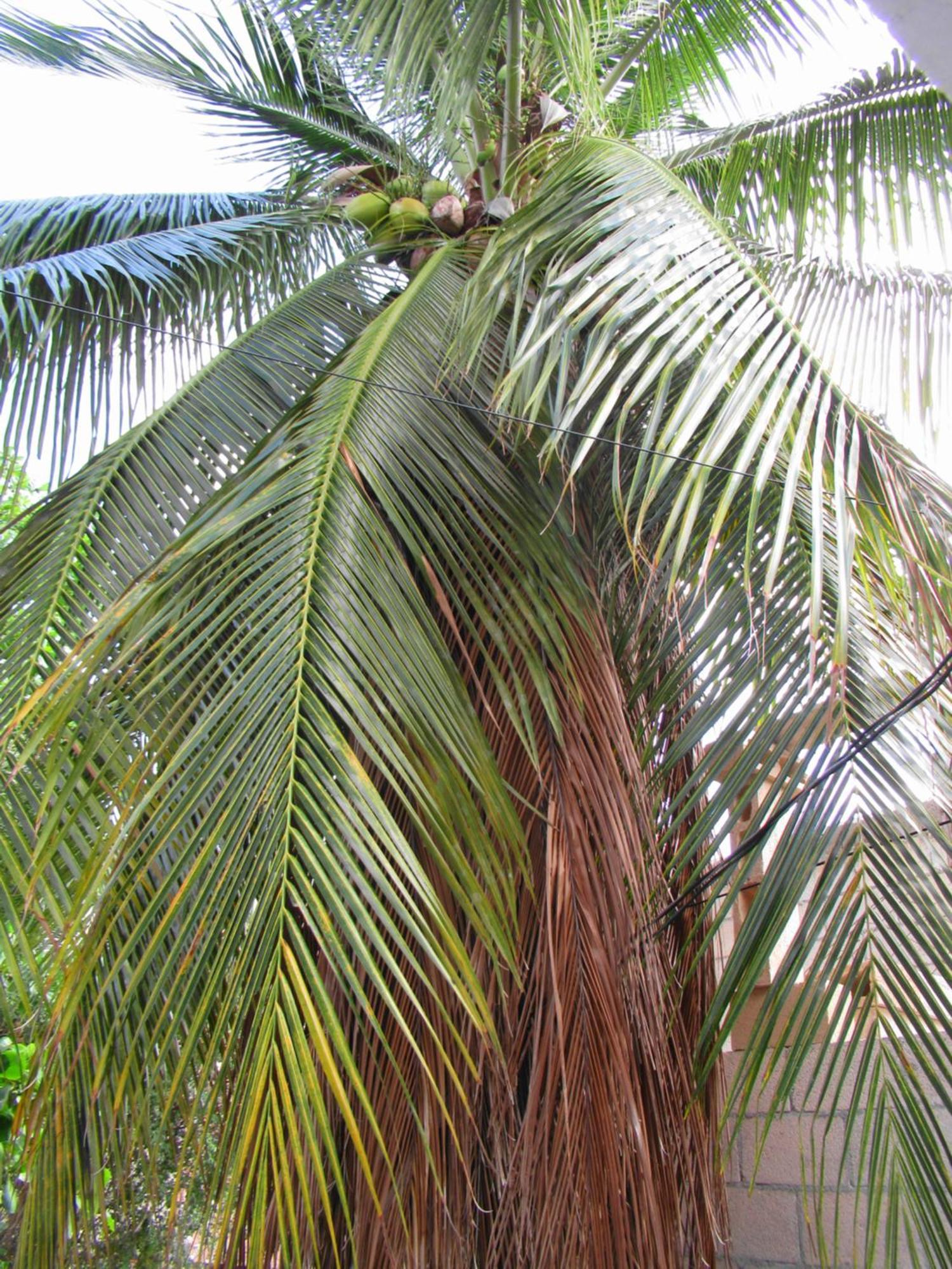 칸쿤 Cocos 아파트 외부 사진